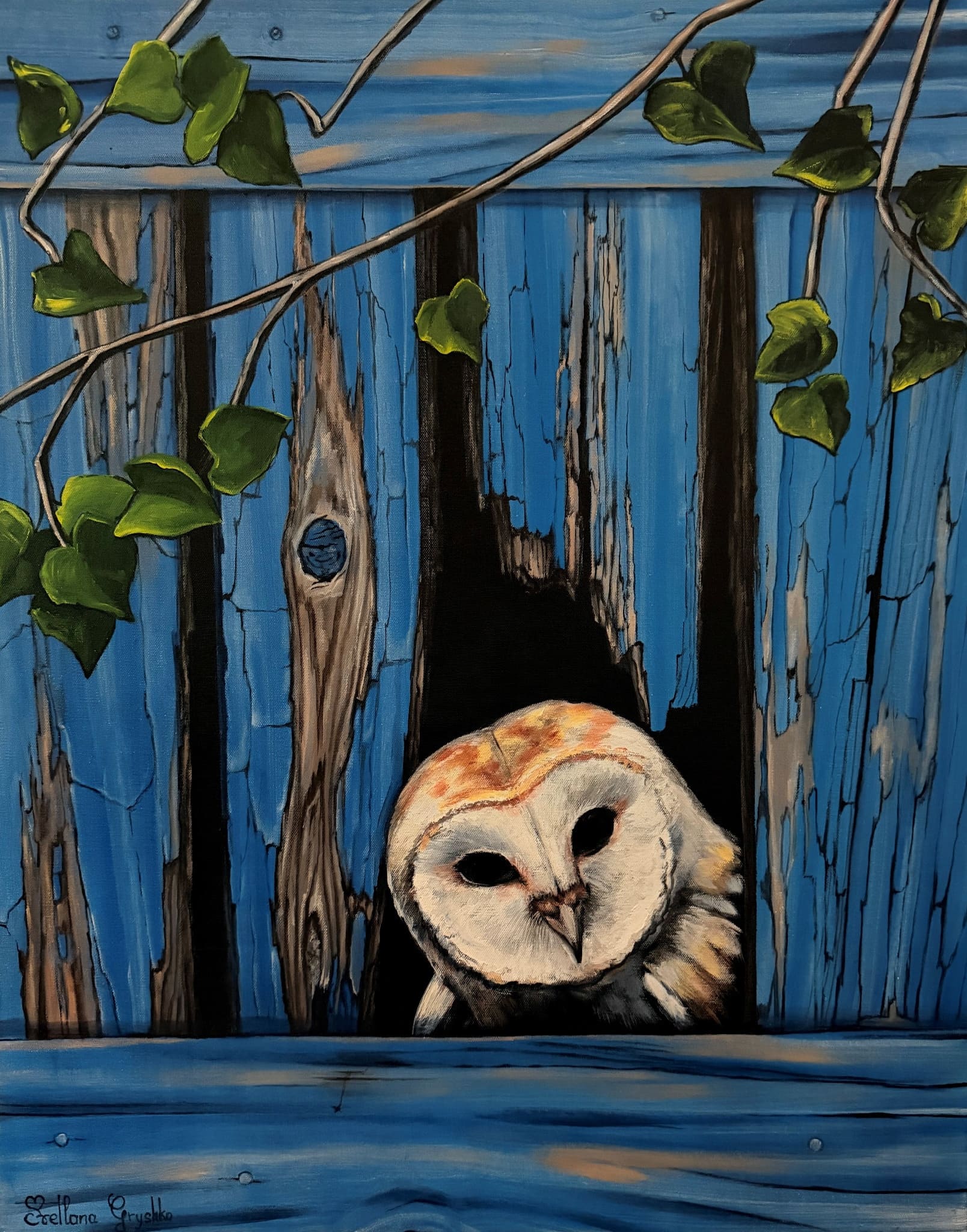Tableau Coucou, qui est là ? de Svitlana Loguinoff Gryshko représentant une chouette observant à travers une vieille cabane en bois bleu entourée de lierre.